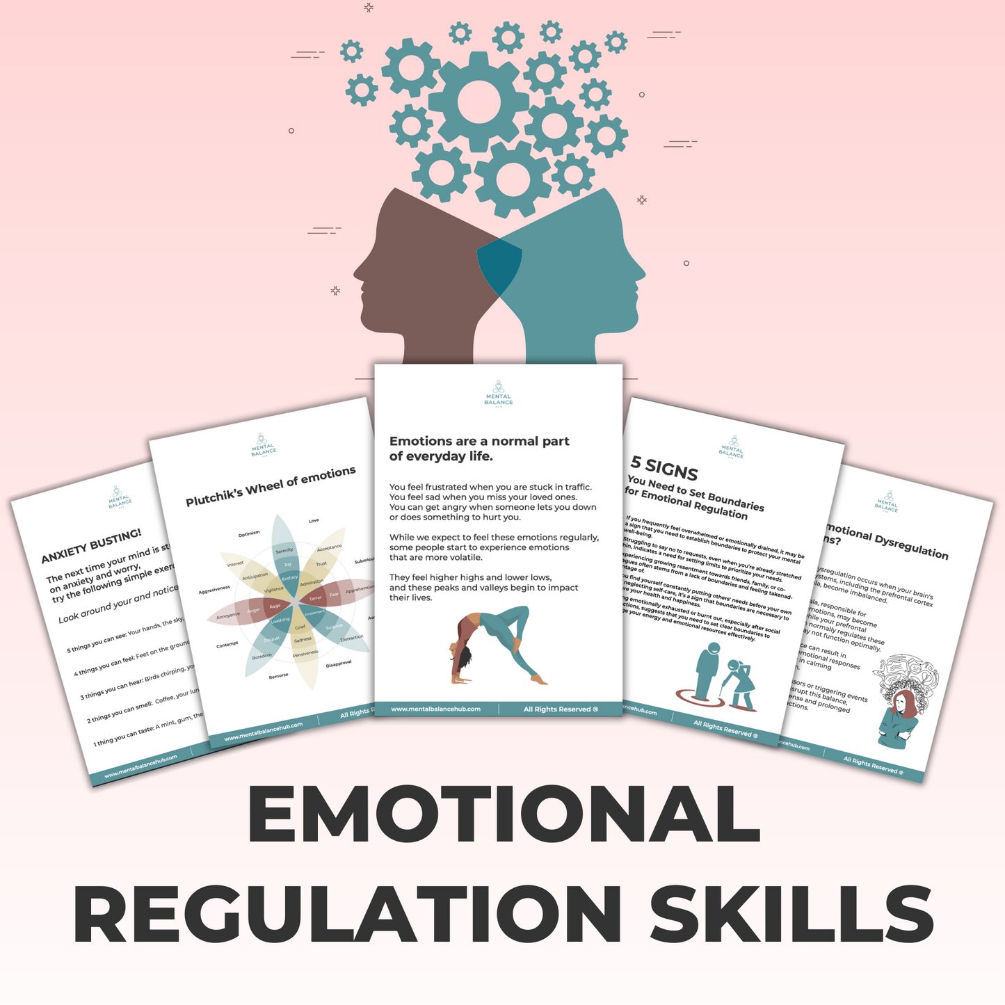 Emotional Regulation Skills Workbook