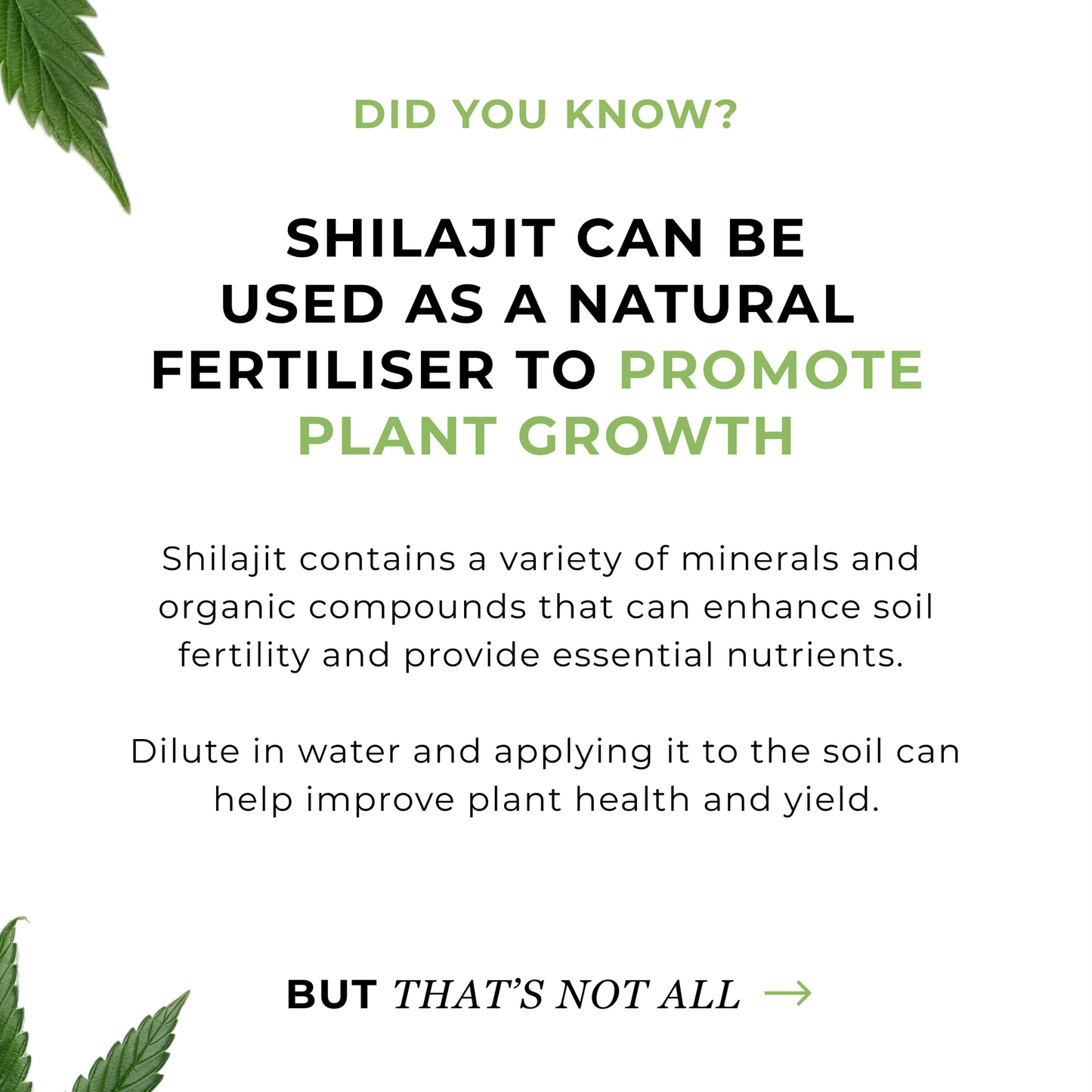 Shilajit Resin uses