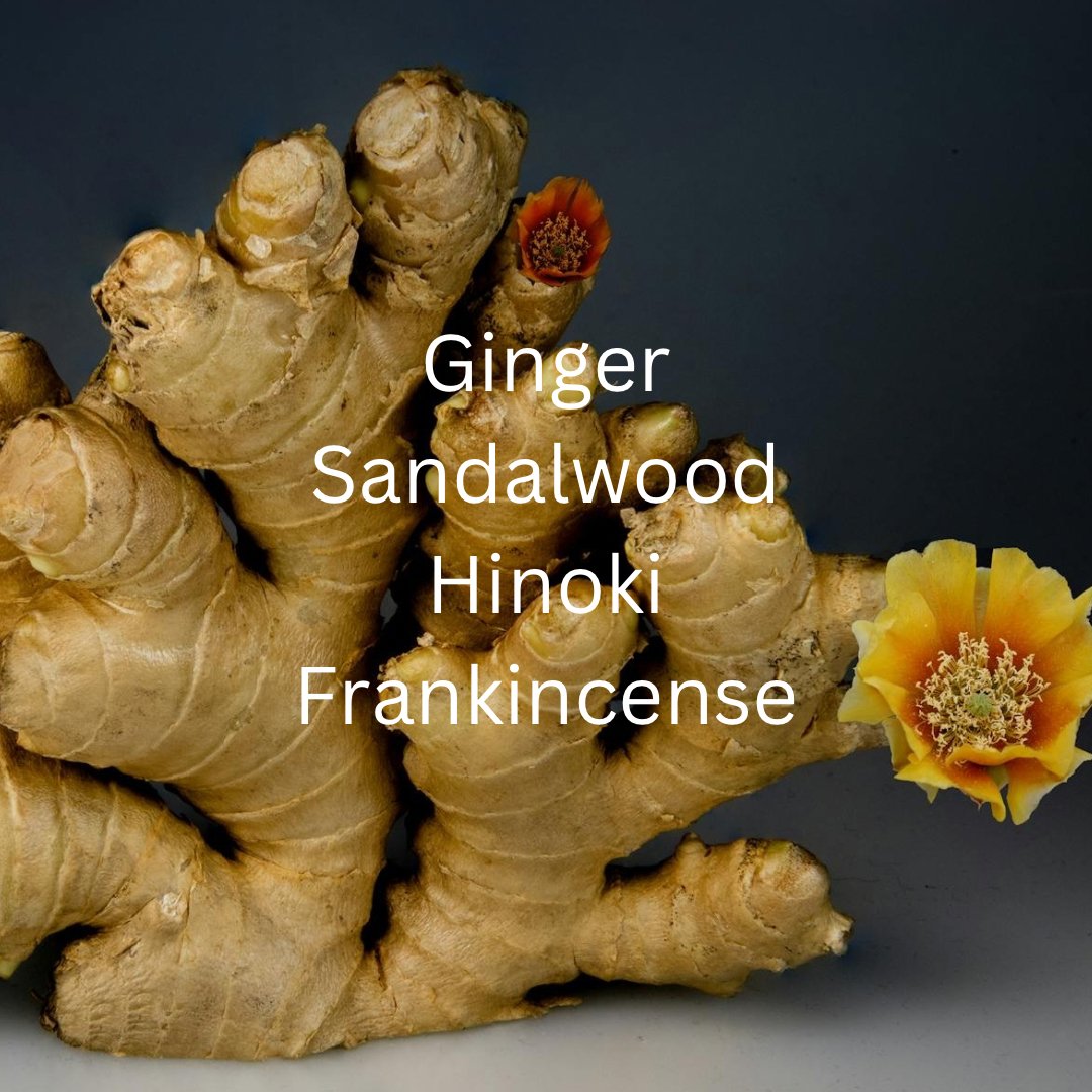 focus-wellbeing-parfumanatome ginger sandalwood frankincense