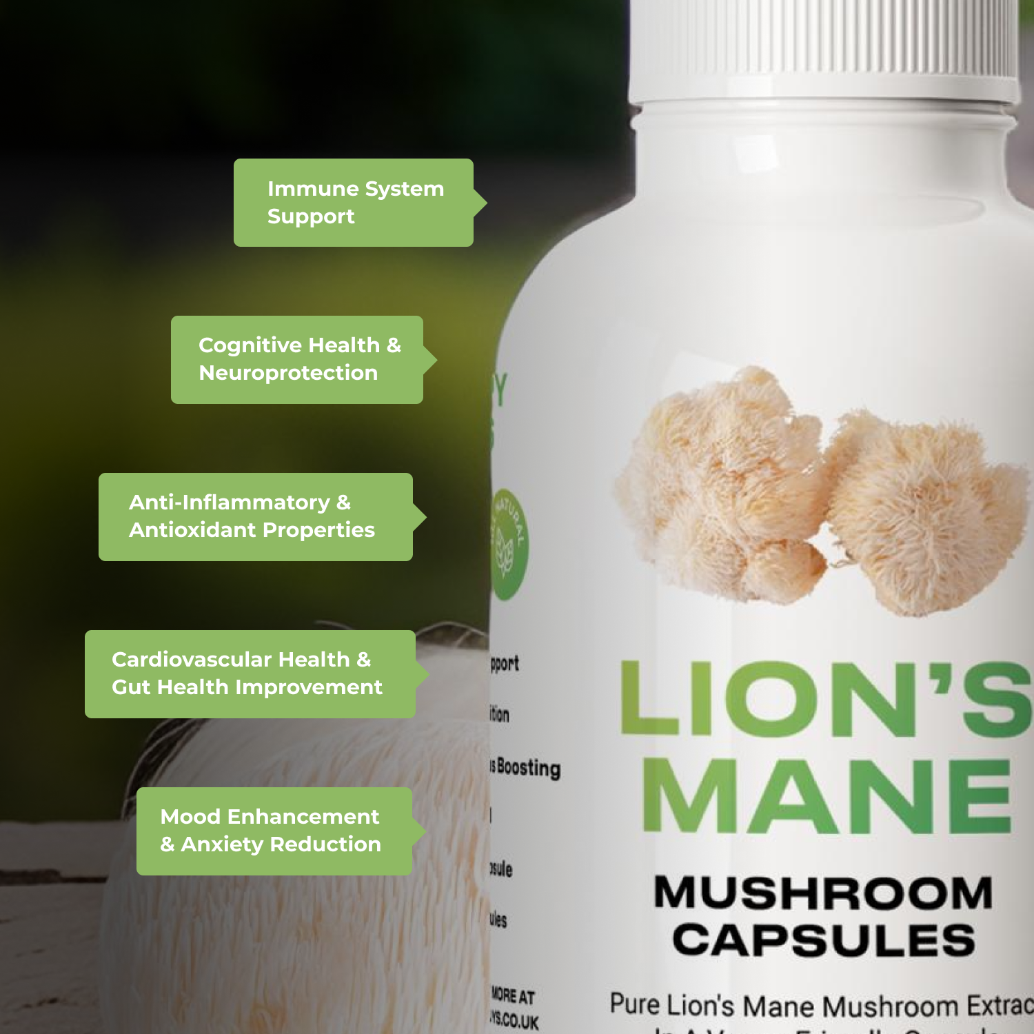 lions mane vegan mushroom capsules benefits