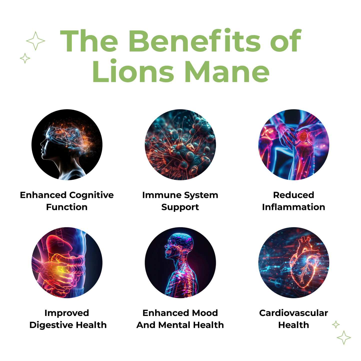 lions mane vegan mushroom capsules organic benefits