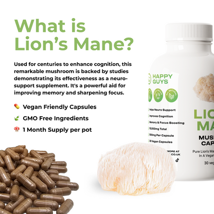 lions mane vegan mushroom capsules properties