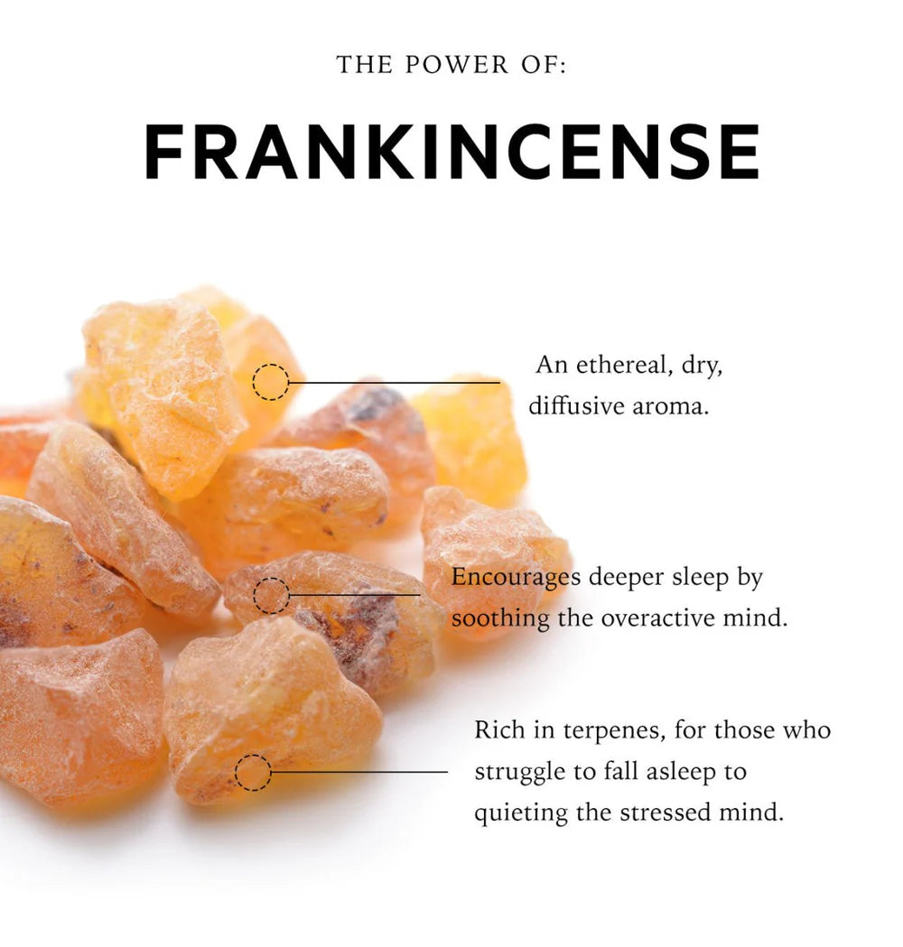 overactive-mind-sensory-point-oil-somali-frankincense-anatome-properties