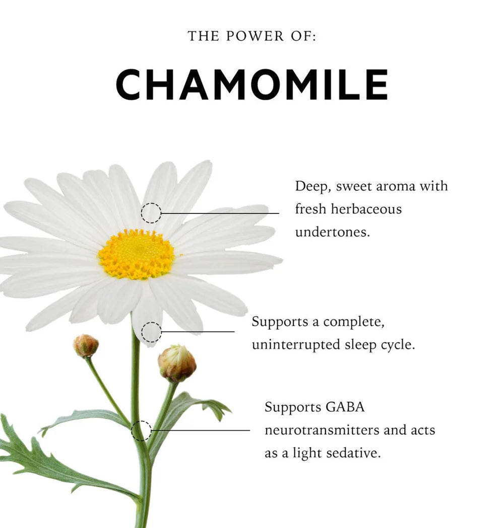 pillow-spray-roman-chamomile-anatome-properties