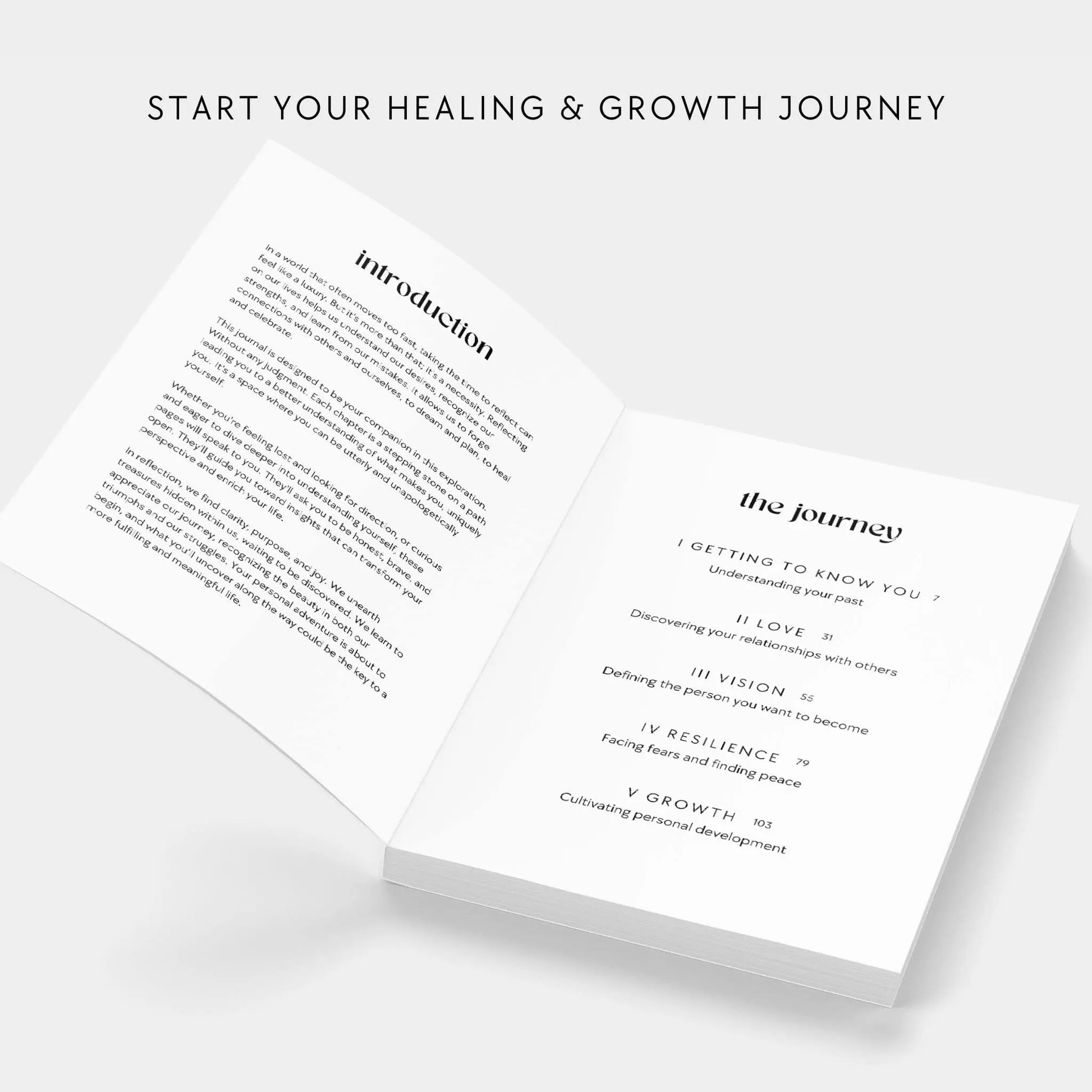 pulse of potential growth journal life healing and growth