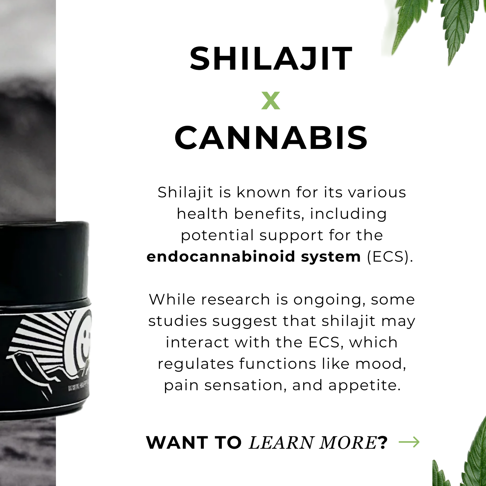 what Shilajit Resin does